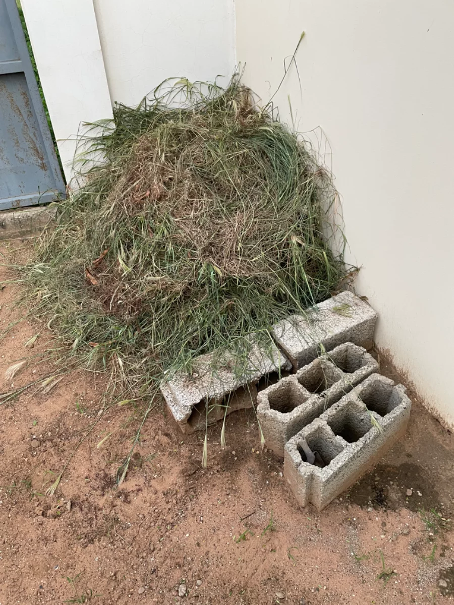 Gros t’as d’azote !