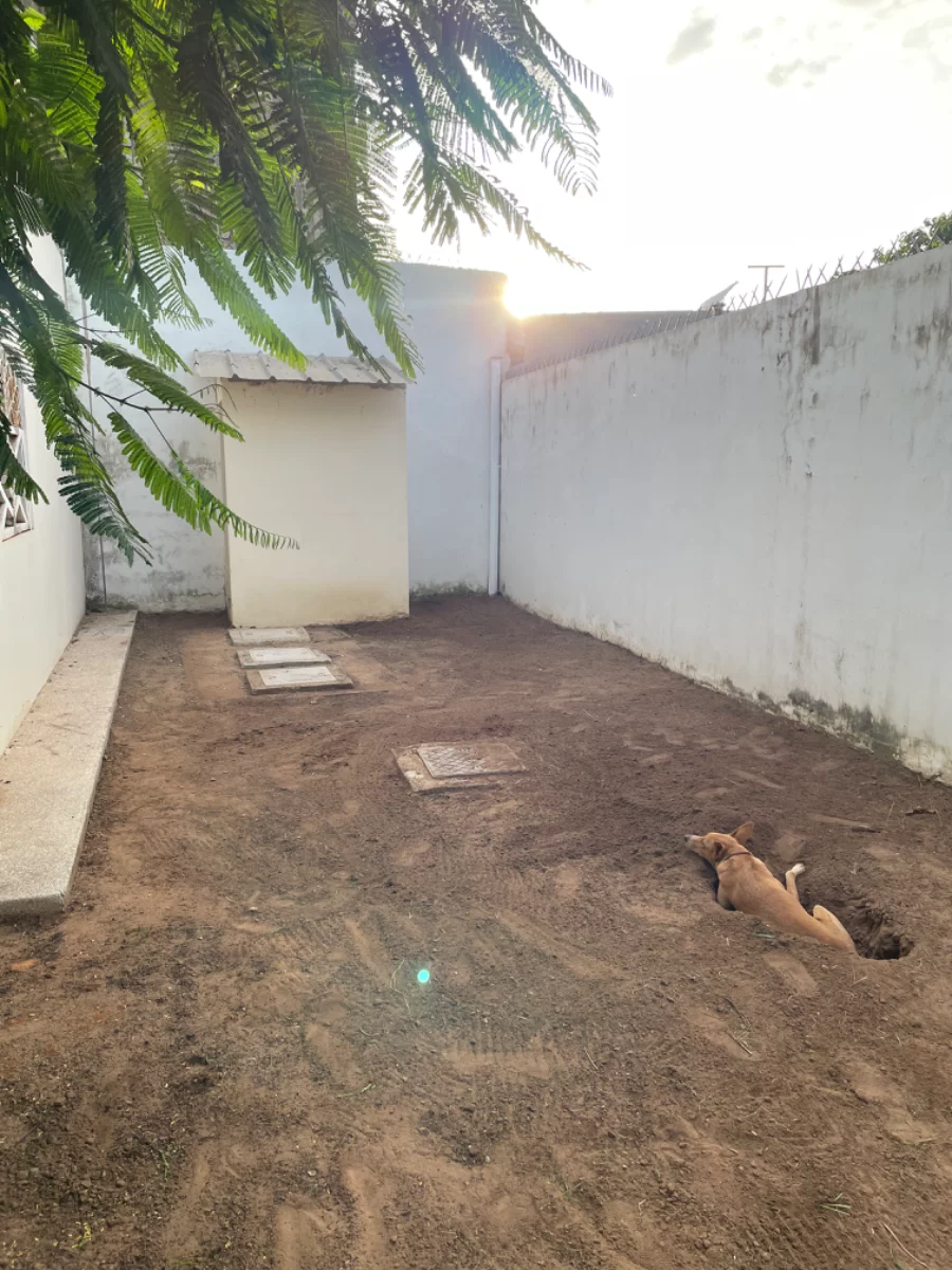 Nettoyage de l’arrière maison terminé !